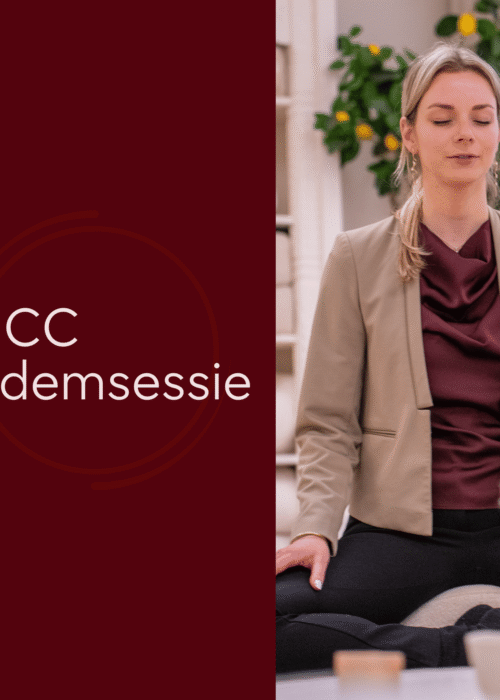 HCC ondernemers ademsessie